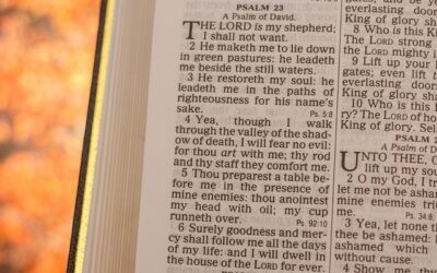 Bible Study on the Psalms