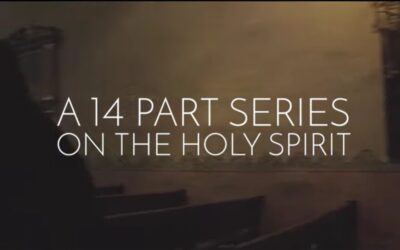 “Wild Goose” Study